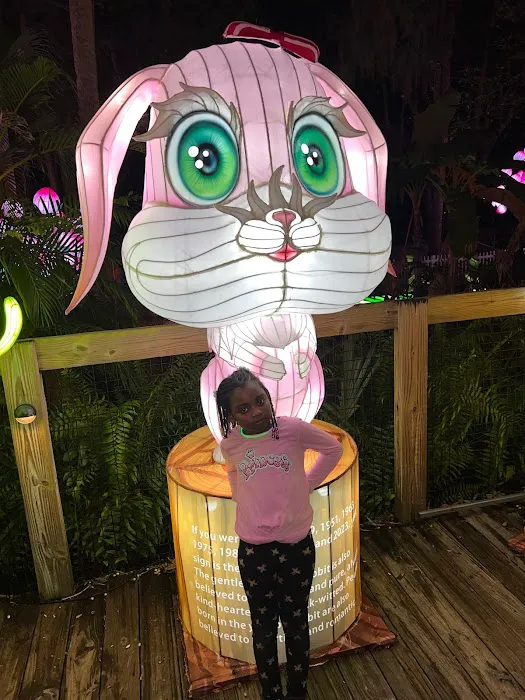 Elite Boxing Fitness Center, LLC Picture 2