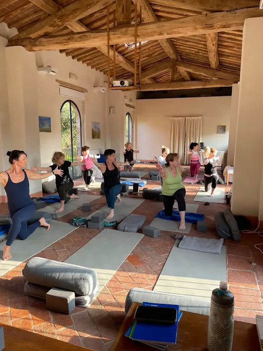 Red Sun Yoga, Inc. Picture 7