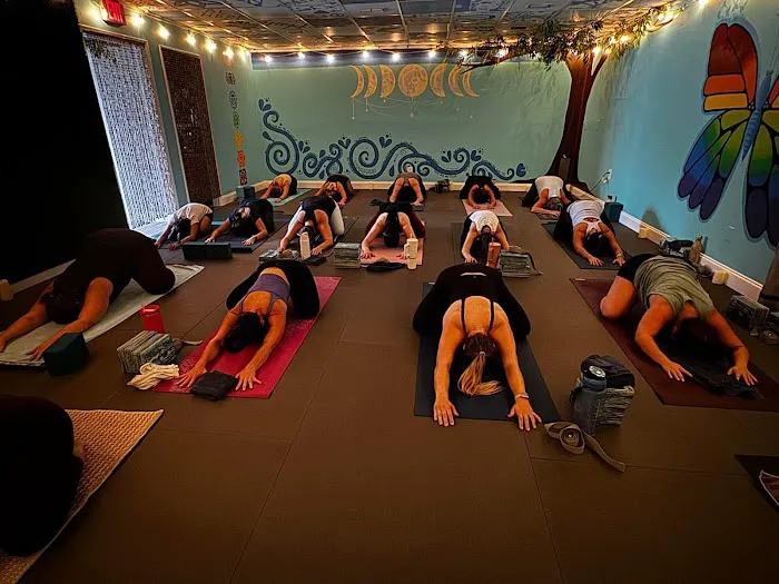 The Yoga Lab Picture 1