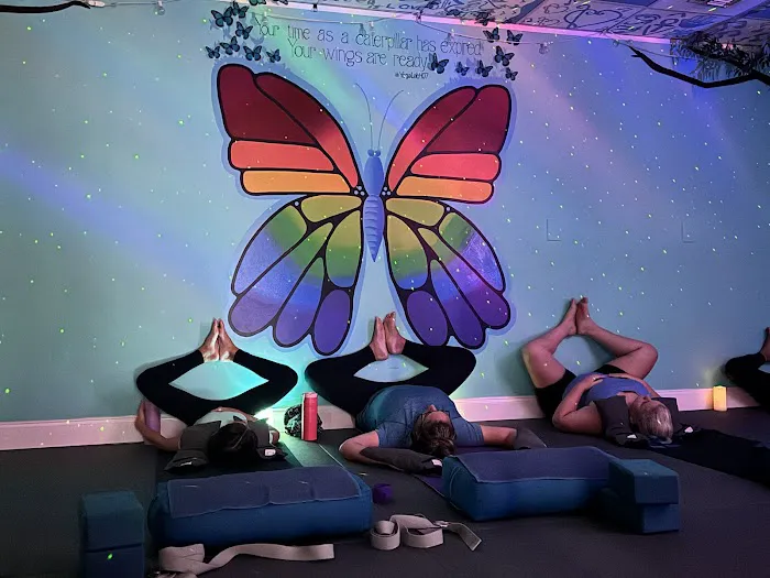 The Yoga Lab Picture 4