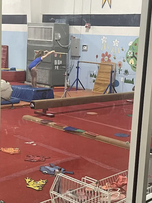 United Gymnastics Academy - Oviedo Picture 10