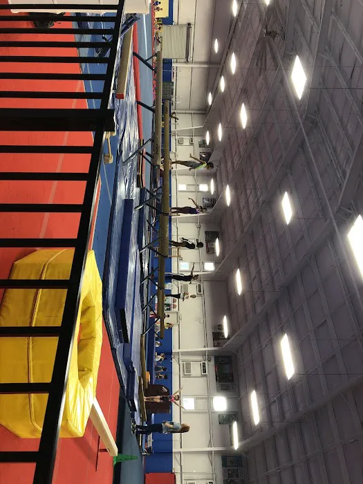 Orlando Metro Gymnastics Avalon Park Picture 8