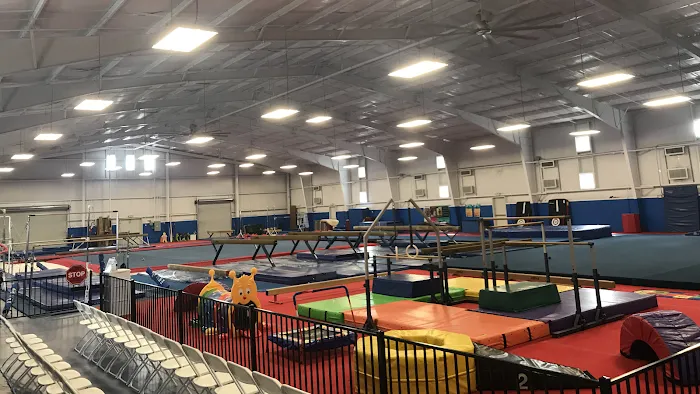 Orlando Metro Gymnastics Avalon Park Picture 1