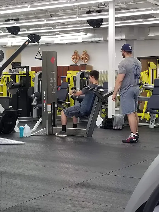 Ironclad Gym by King Tolo Picture 3