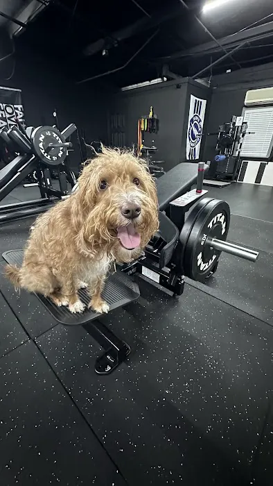 Barbell 13 Picture 1