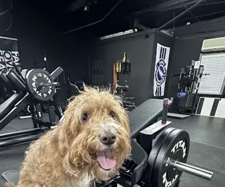 Barbell 13