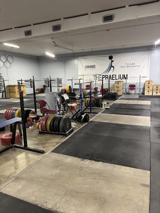 Oly Concepts Picture 2