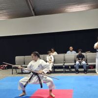 Reeves Karate and Fitness ico