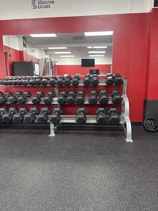 24fitness Elite Picture 4