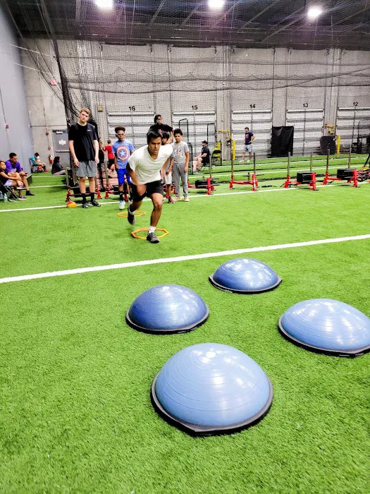 Alpha Sports Performance Picture 9