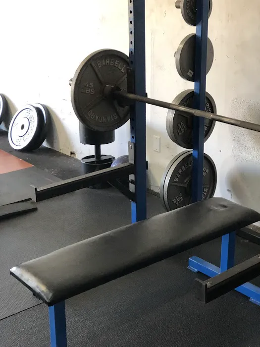 Prime Strength and Fitness Picture 9