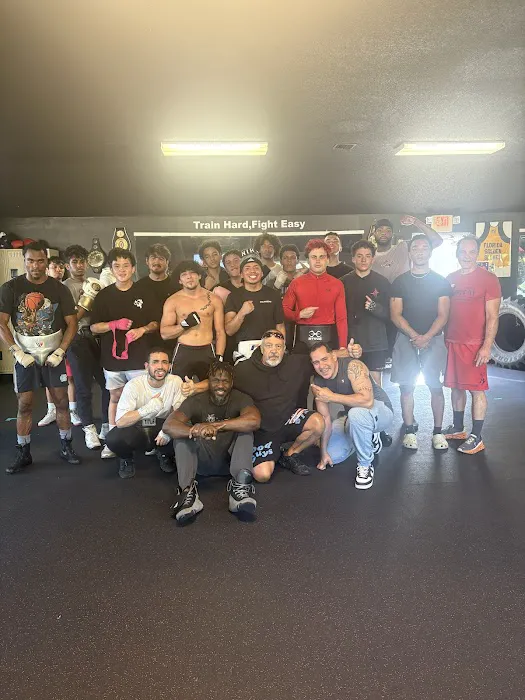 TDT Boxing Fitness Club Picture 4