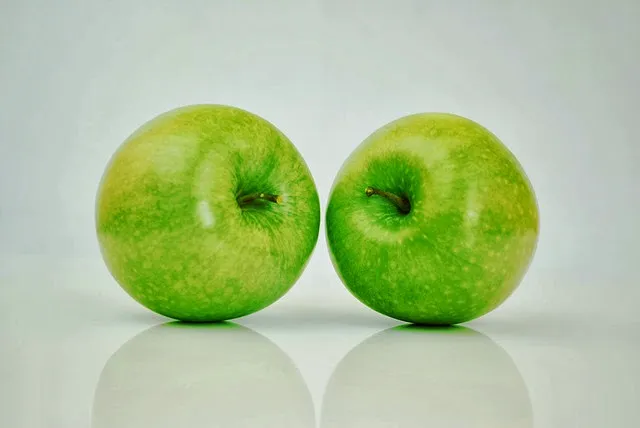 Premier Sports Performance Picture 6