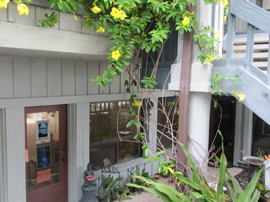 Lake Center Yoga Picture 5