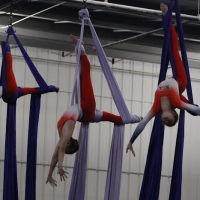 ACE Gymnastics-Longwood ico
