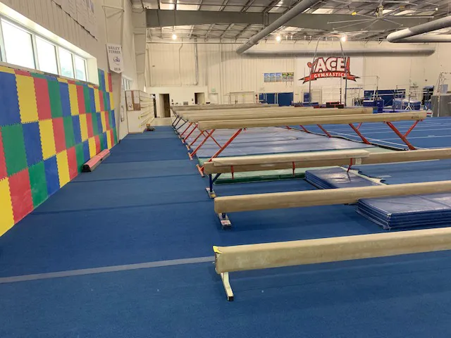 ACE Gymnastics-Longwood Picture 8