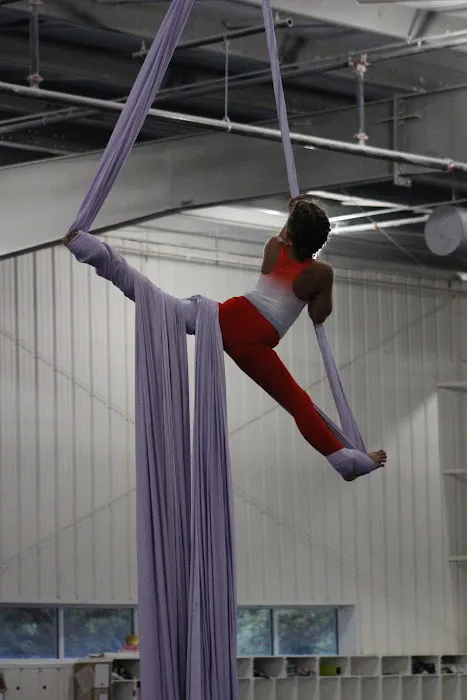 ACE Gymnastics-Longwood Picture 9