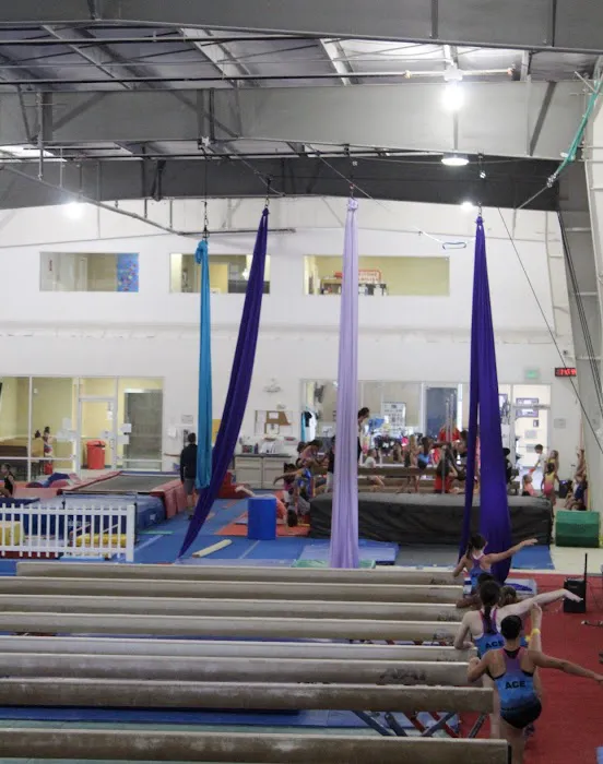 ACE Gymnastics-Longwood Picture 7
