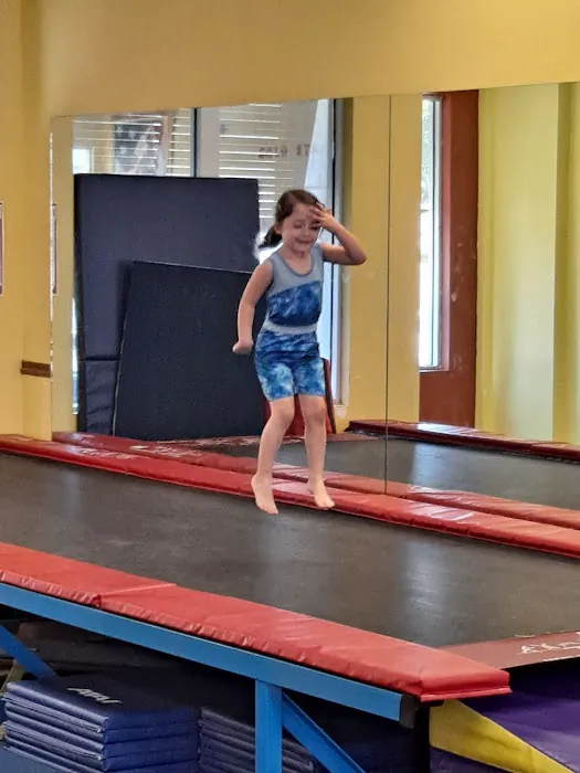 Scott Johnson's Tumble & Gymnastics Academy Picture 7