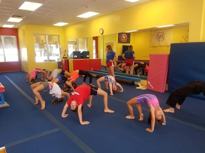 Scott Johnson's Tumble & Gymnastics Academy Picture 10