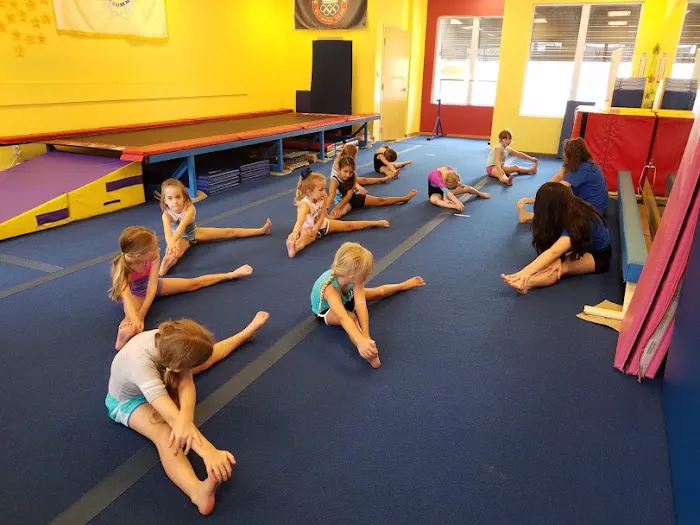 Scott Johnson's Tumble & Gymnastics Academy Picture 6