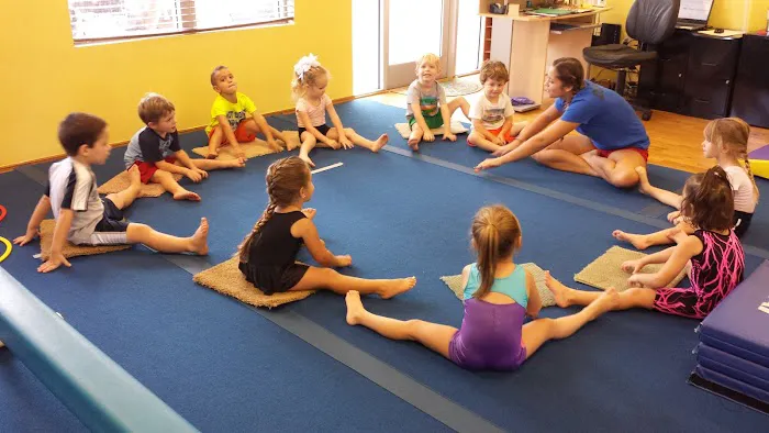 Scott Johnson's Tumble & Gymnastics Academy Picture 1