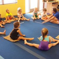 Scott Johnson's Tumble & Gymnastics Academy ico