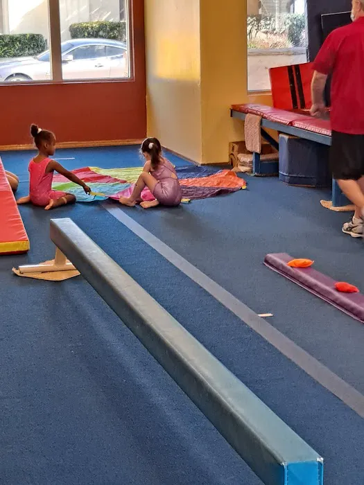 Scott Johnson's Tumble & Gymnastics Academy Picture 2