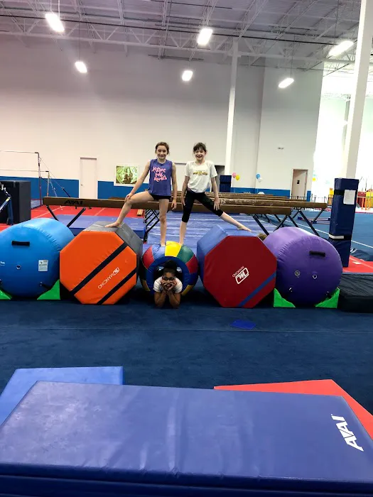 Orlando Metro Gymnastics Lake Mary Picture 5