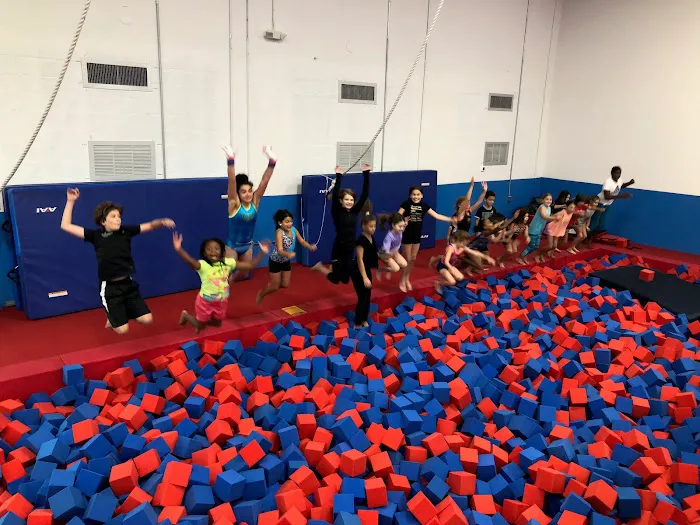 Orlando Metro Gymnastics Lake Mary Picture 9