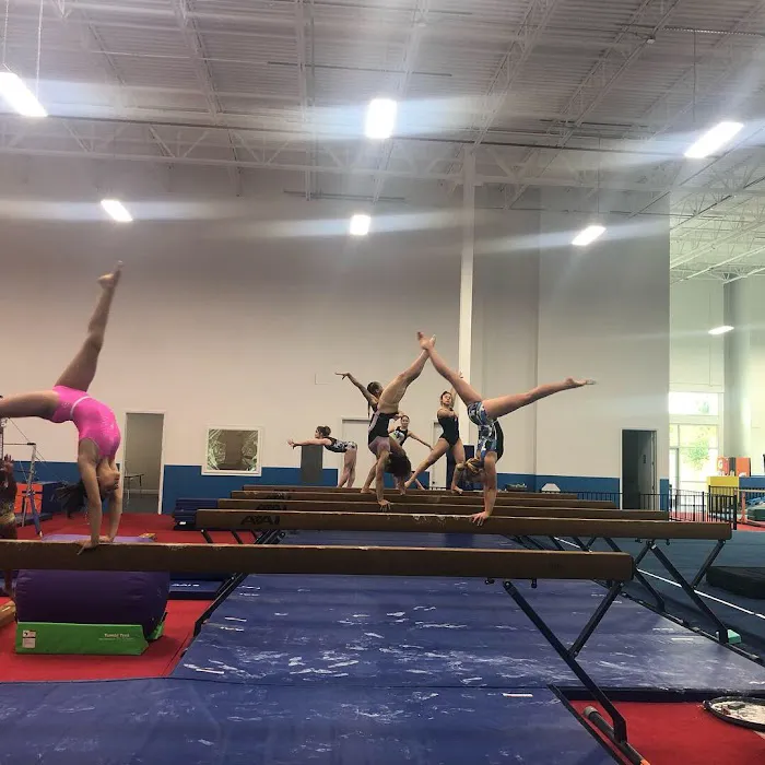 Orlando Metro Gymnastics Lake Mary Picture 4