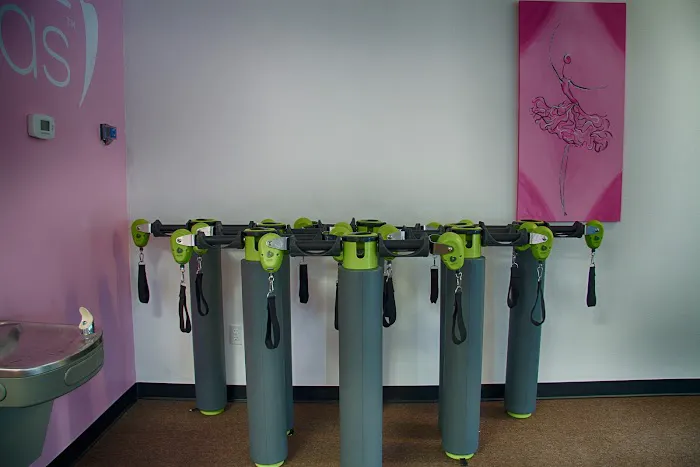 Barre Bellas Picture 7