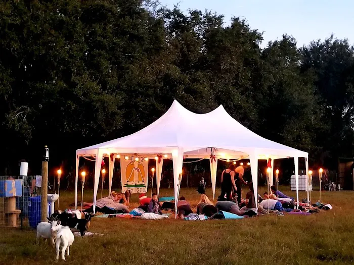 Goat Yoga at Dancing Moon Picture 9