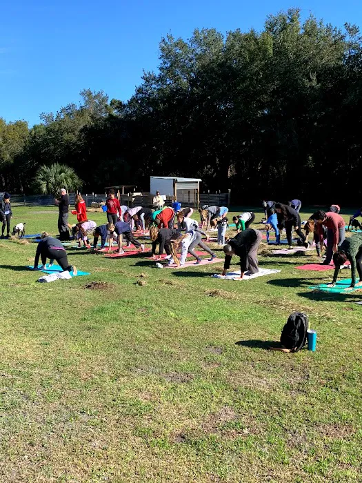Goat Yoga at Dancing Moon Picture 1