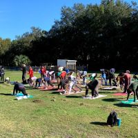 Goat Yoga at Dancing Moon ico