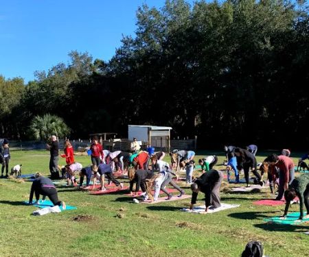 Goat Yoga at Dancing Moon