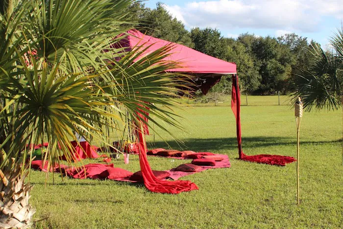 Goat Yoga at Dancing Moon Picture 8