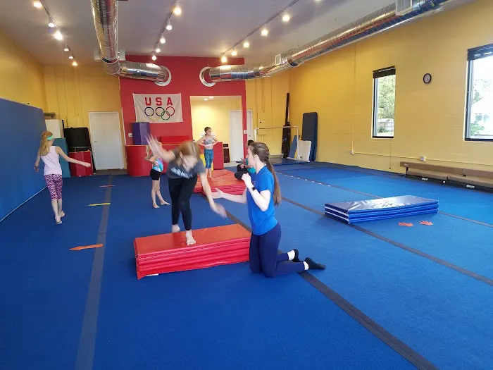 Scott Johnson's Tumble & Gymnastics Academy Picture 5