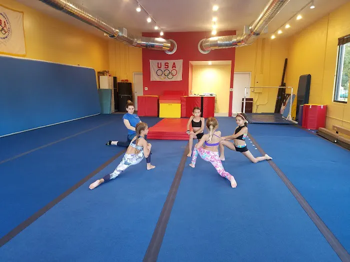 Scott Johnson's Tumble & Gymnastics Academy Picture 6