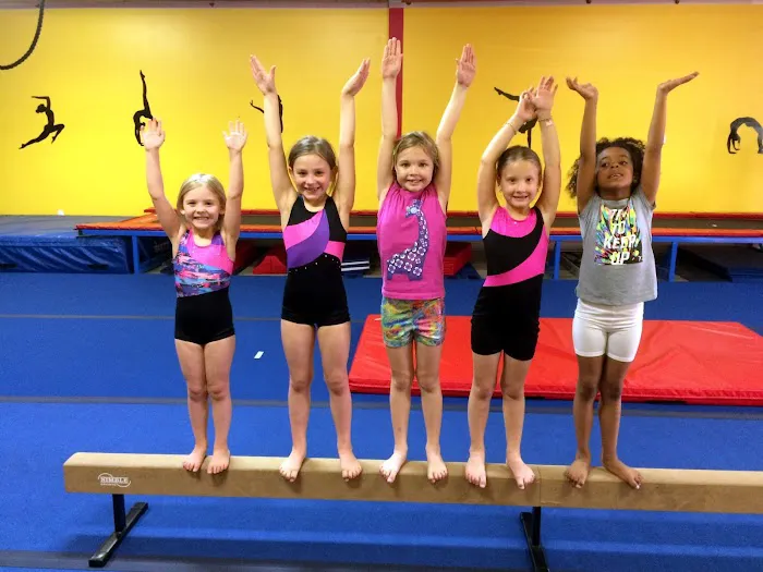 Scott Johnson's Tumble & Gymnastics Academy Picture 10