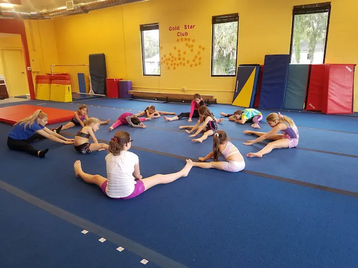 Scott Johnson's Tumble & Gymnastics Academy Picture 2
