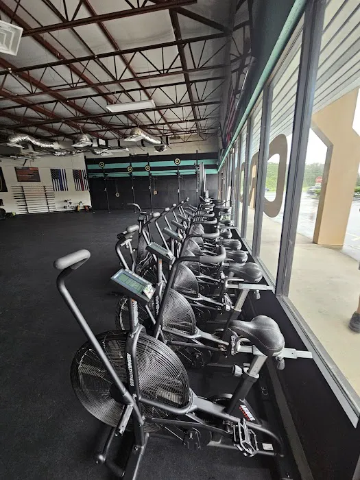 CrossFit Muster Station 2.0 Picture 10