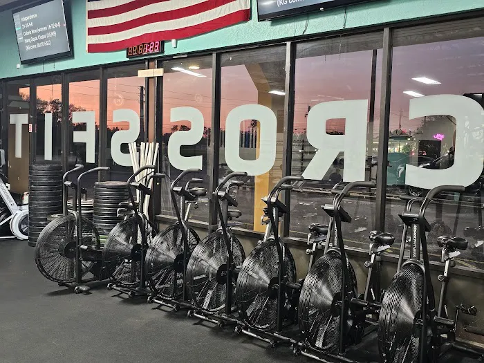 CrossFit Muster Station 2.0 Picture 5