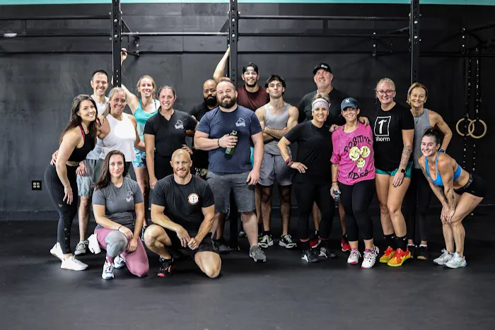 CrossFit Muster Station 2.0 Picture 2