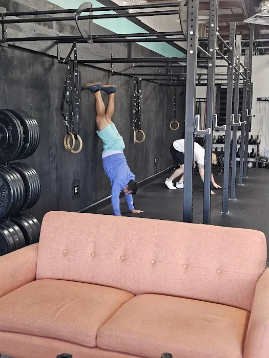 CrossFit Muster Station 2.0 Picture 6