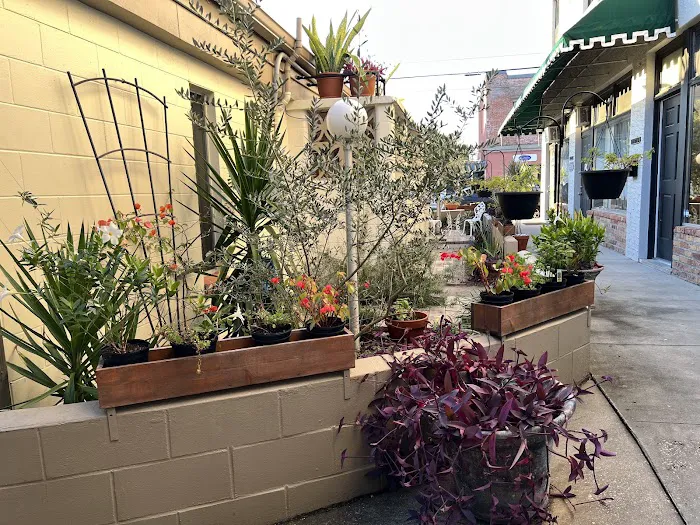 Hot Yoga Sanford Picture 5