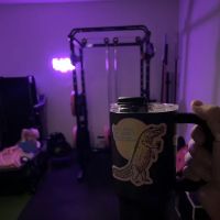 Pretty in Pink Fitness ico