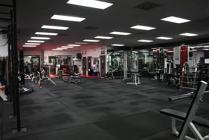 Trainers Edge Picture 2