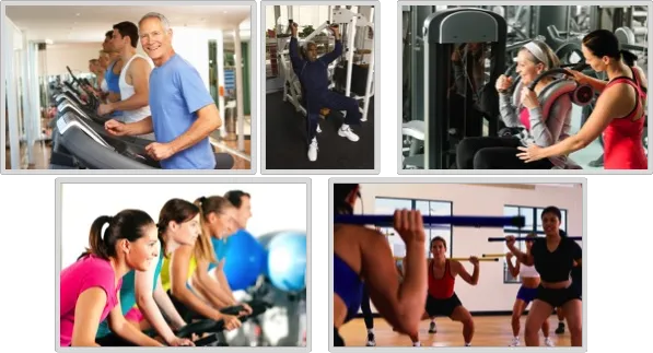 Trainers Edge Picture 9