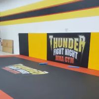 Thunder Fight Night MMA Gym ico